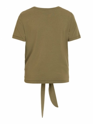 23029269 Burnt Olive