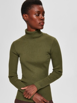 16064917 Winter Moss