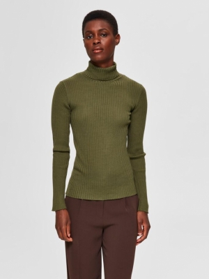 16064917 Winter Moss