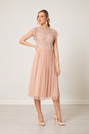 S026238 Cameo Rose