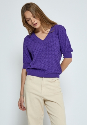 PC1718 7016 Purple Cor