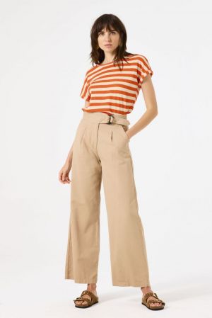 C50313 6146 Golden Tan