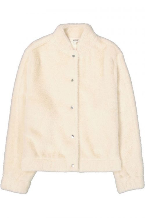 L50292 2082 Turtledove