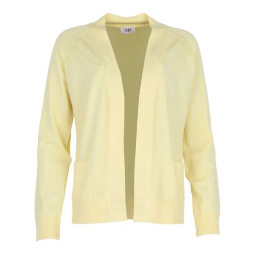 P46S029 Yellow