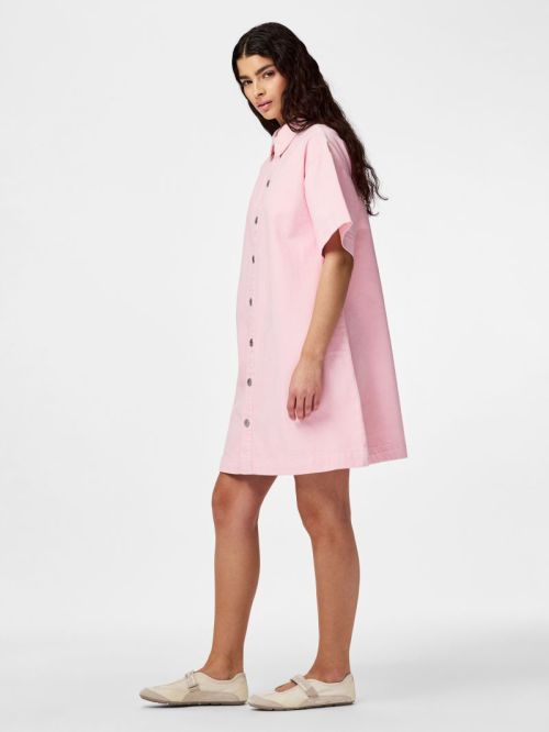 17162370 Roseate Spoonbi
