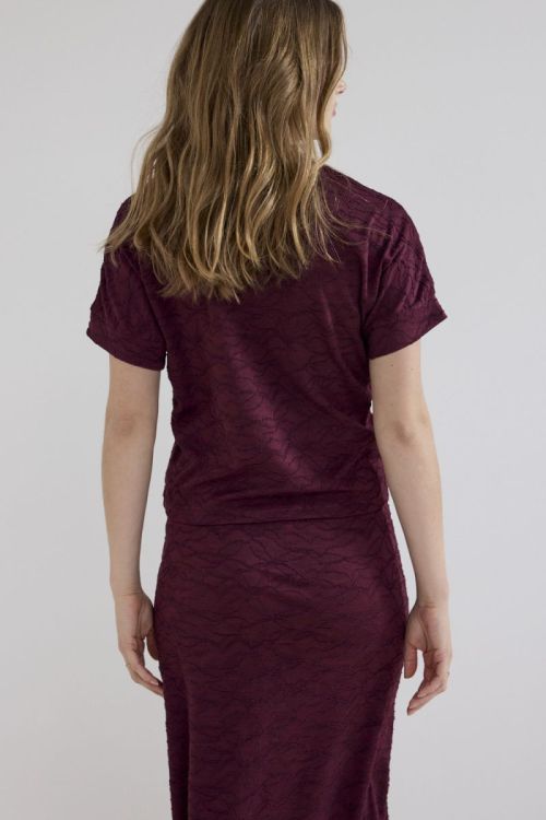 C47-21-402 6 004580 Pomegran